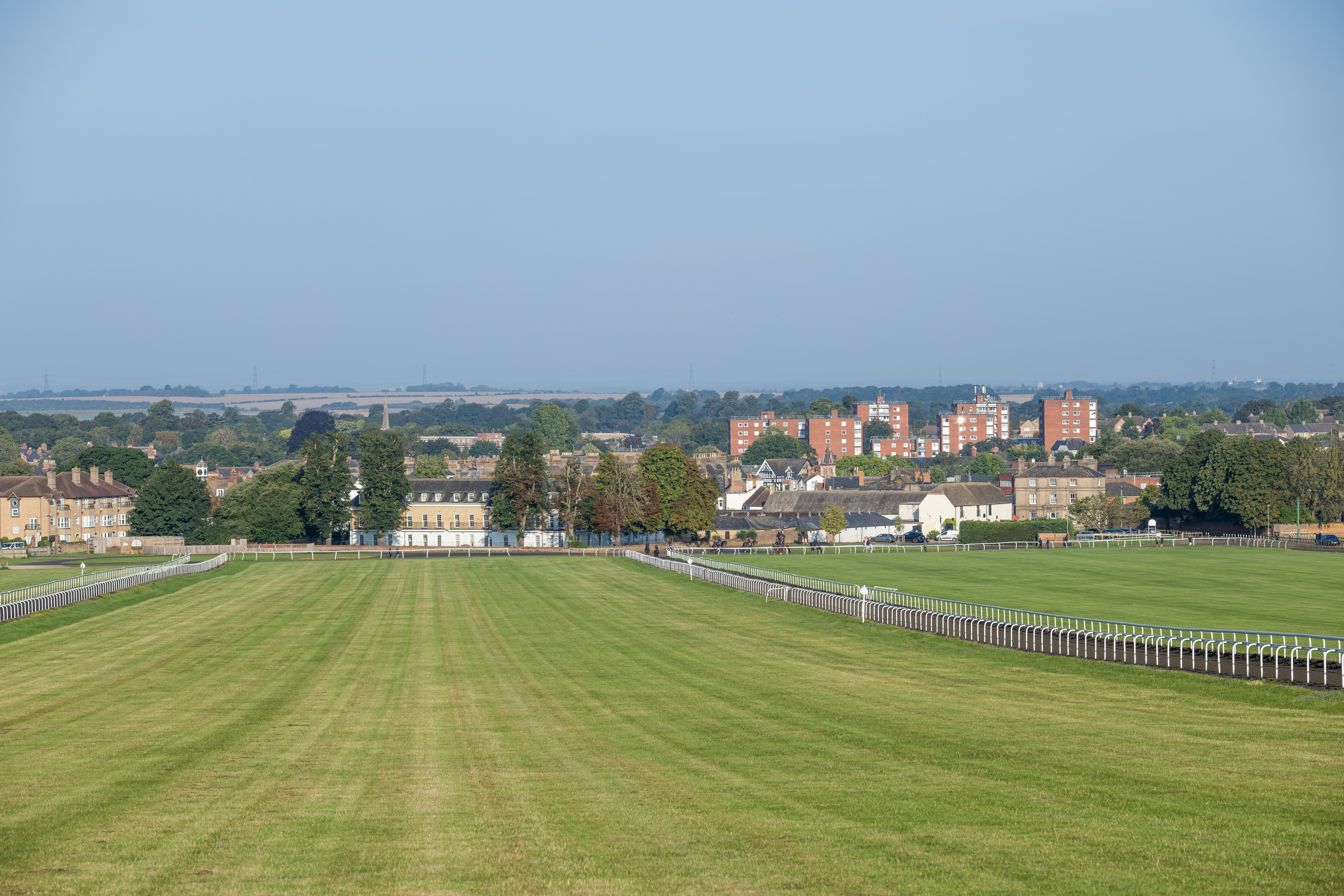 Rowley Drive skyline