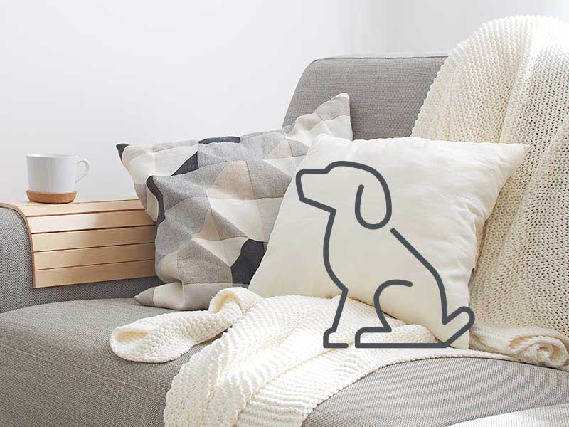 dog logo on the sofa