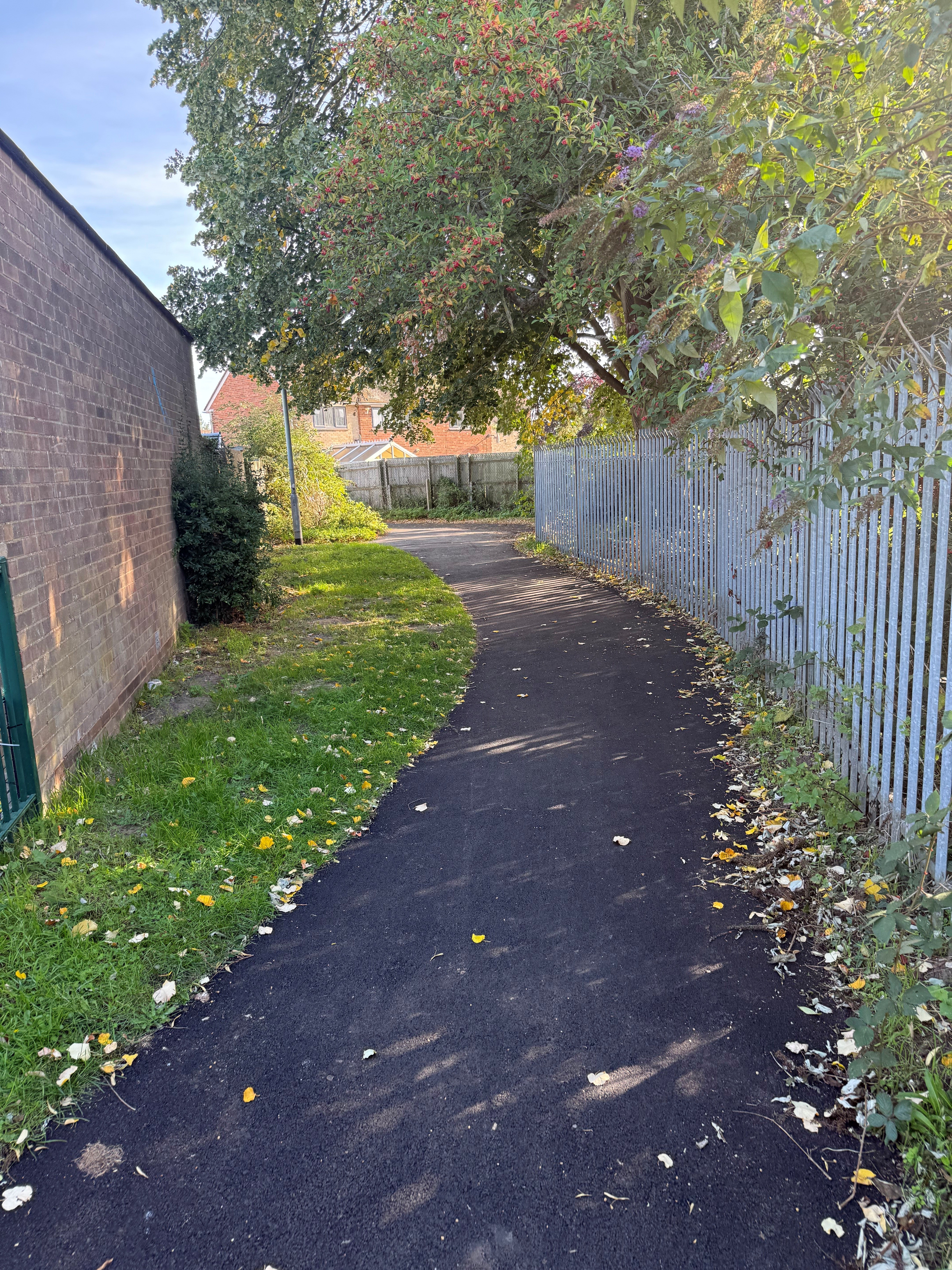 Pathway at Barnham Cross