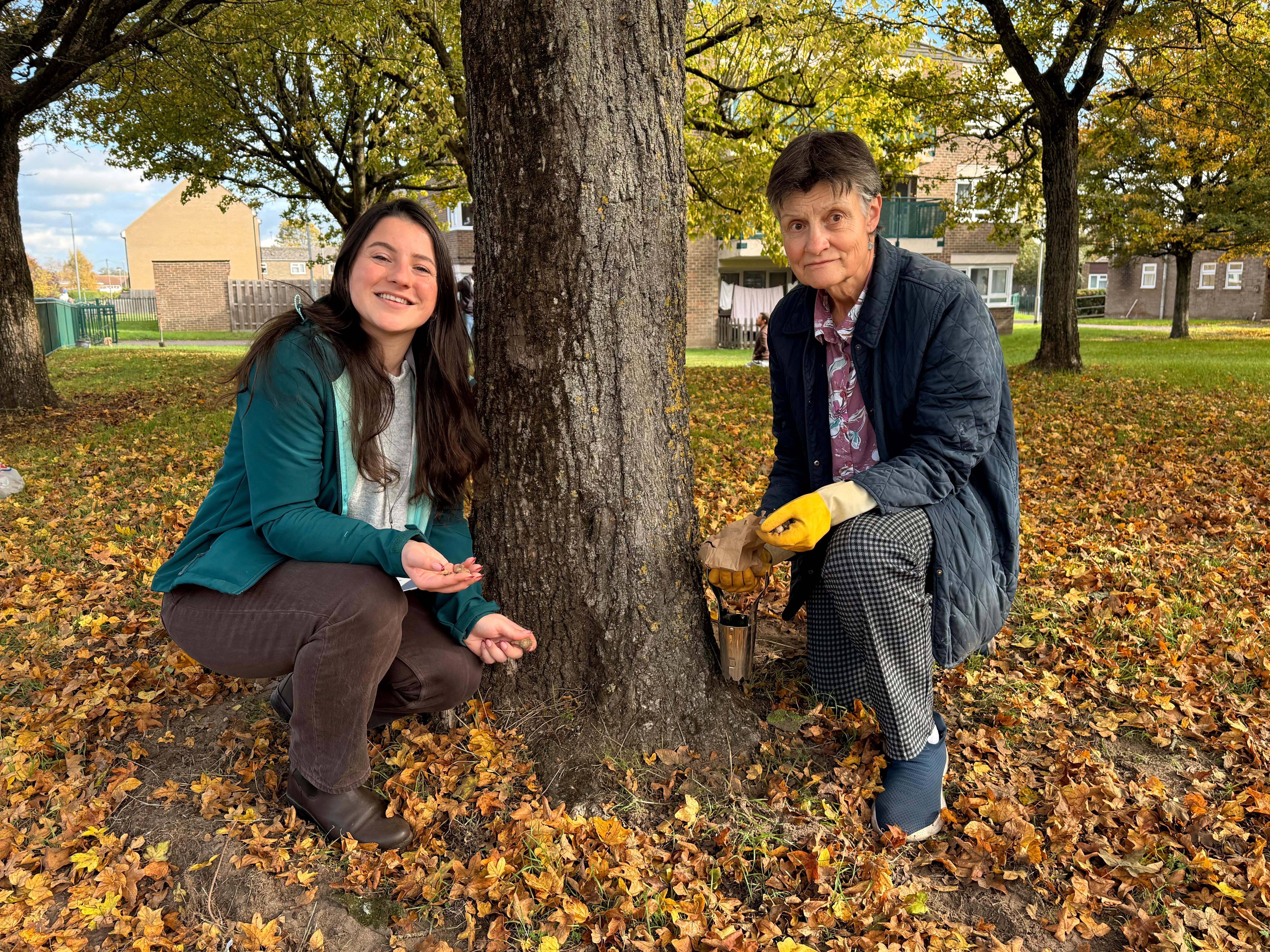Volunteers bring splash of colour to Thetford neighbourhood