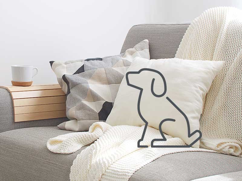 Image of sofa with dog icon overlayed
