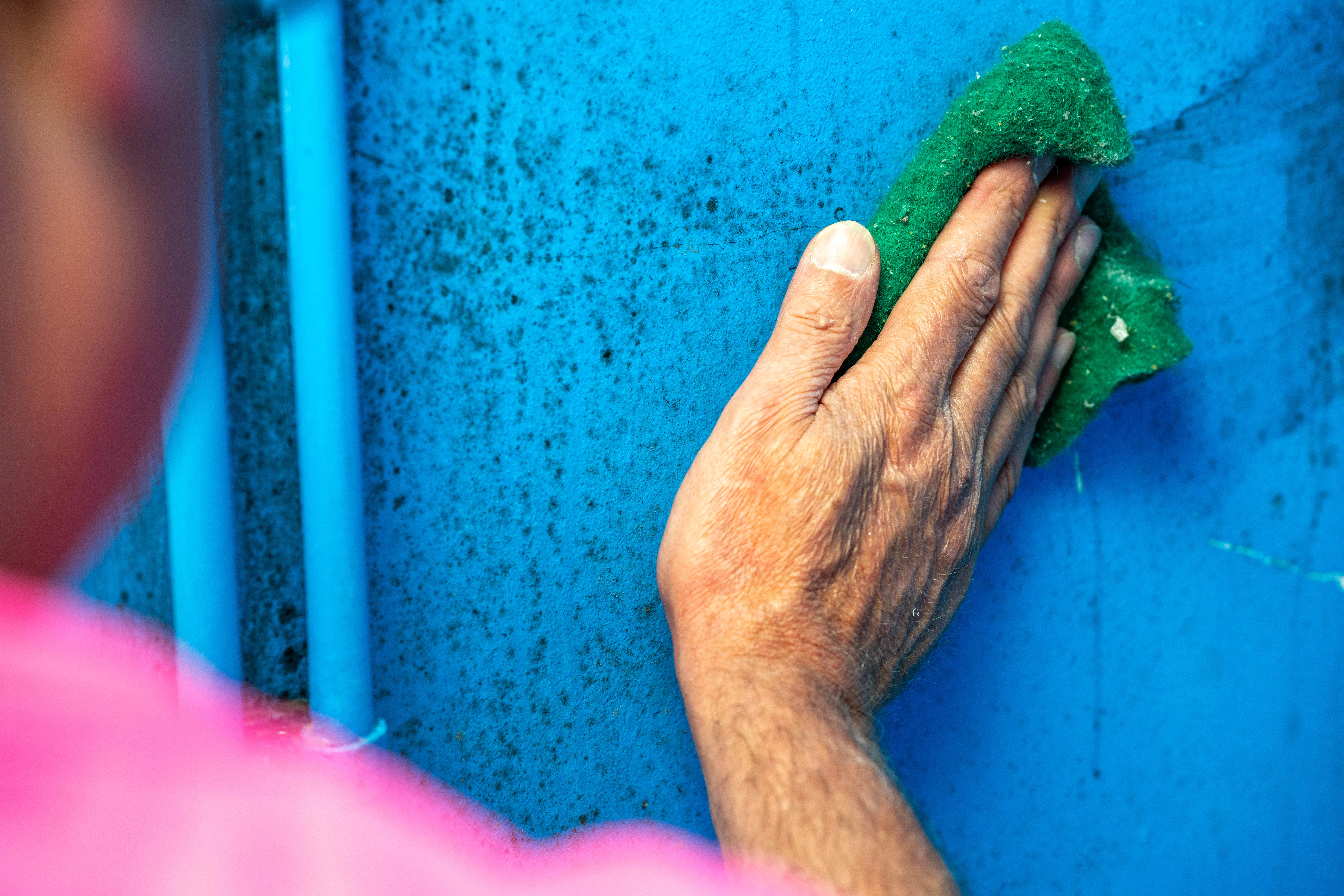How to deal with damp and mould